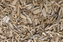 biomass boilers Grays